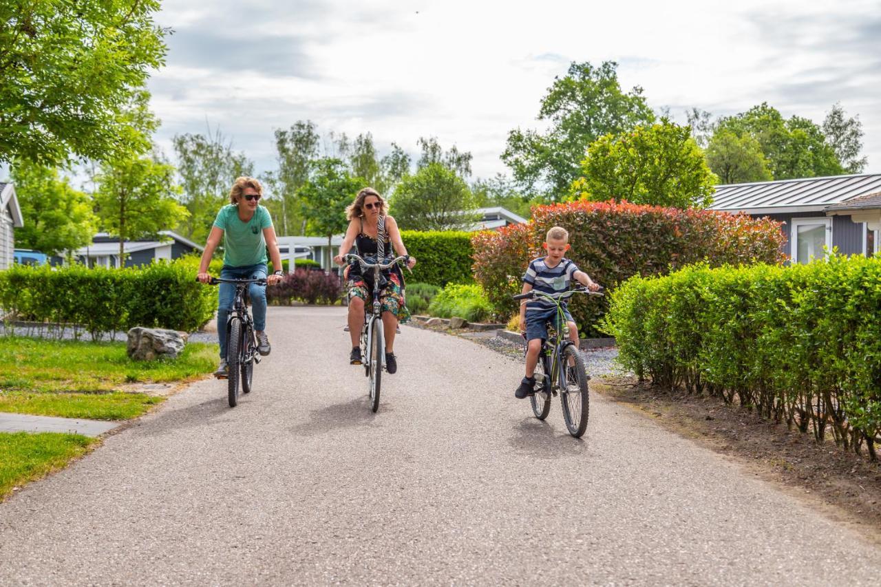 Droompark Maasduinen Vakantiepark 4*